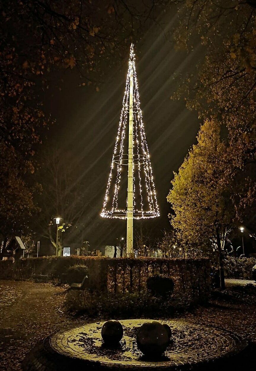 Weihnachtsbaum Kaunitz