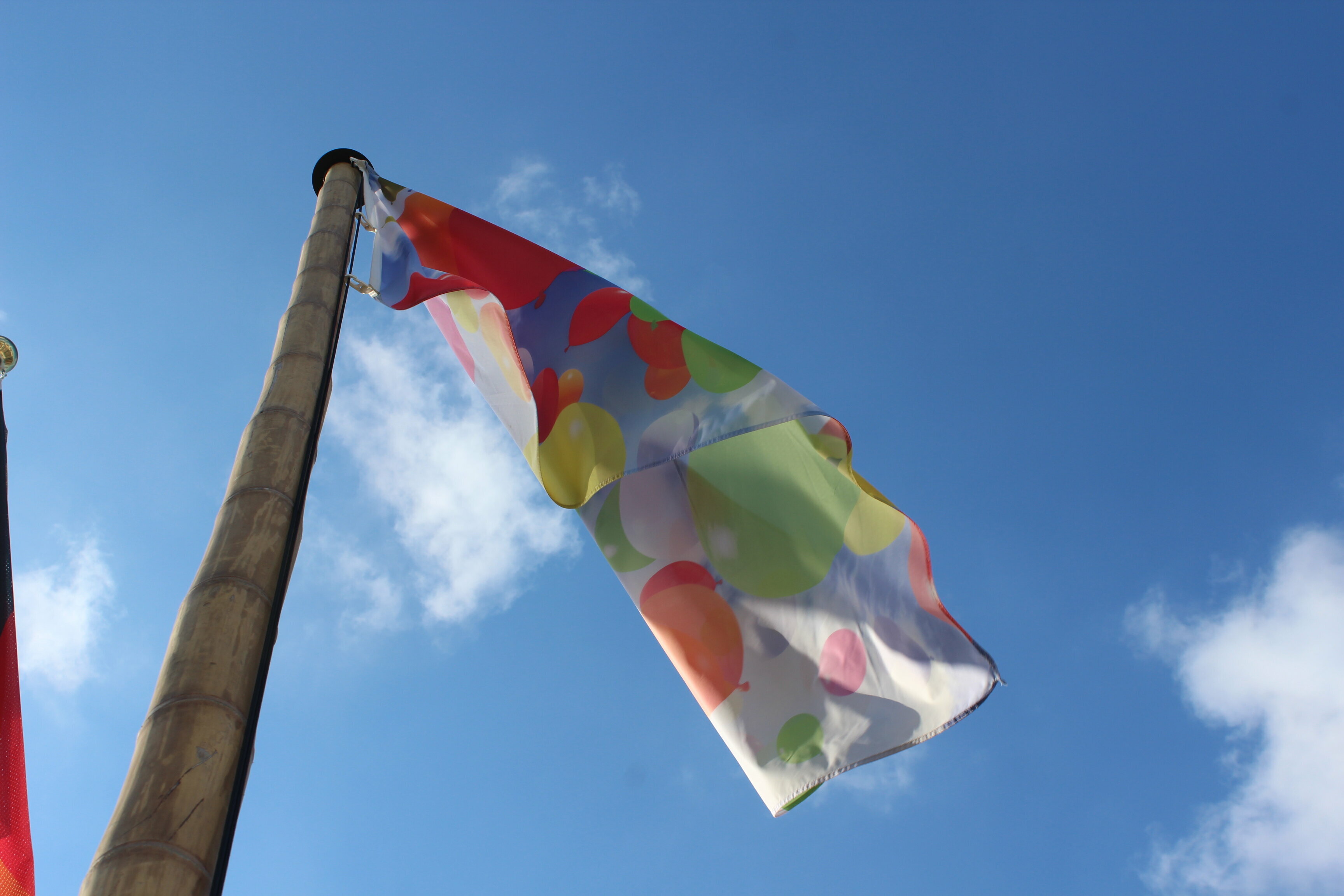 Bambus Fahnenmast mit bunter Fahne