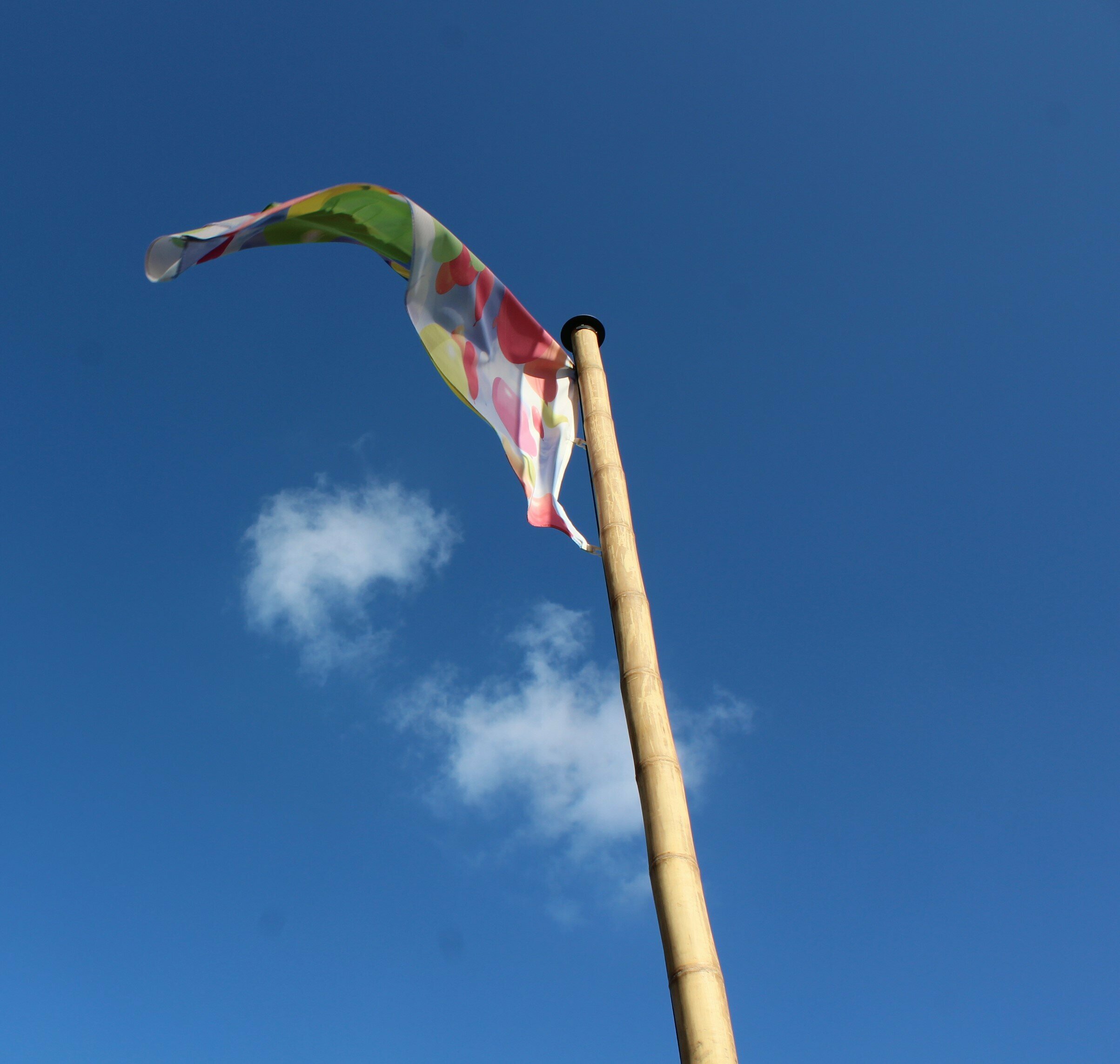 Bambus Fahnenmast mit bunter Fahne