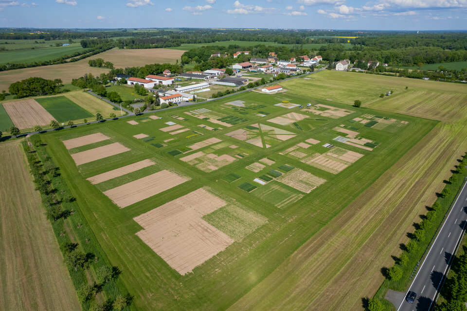 Öko-Feldtage Gelände Wassergut Canitz