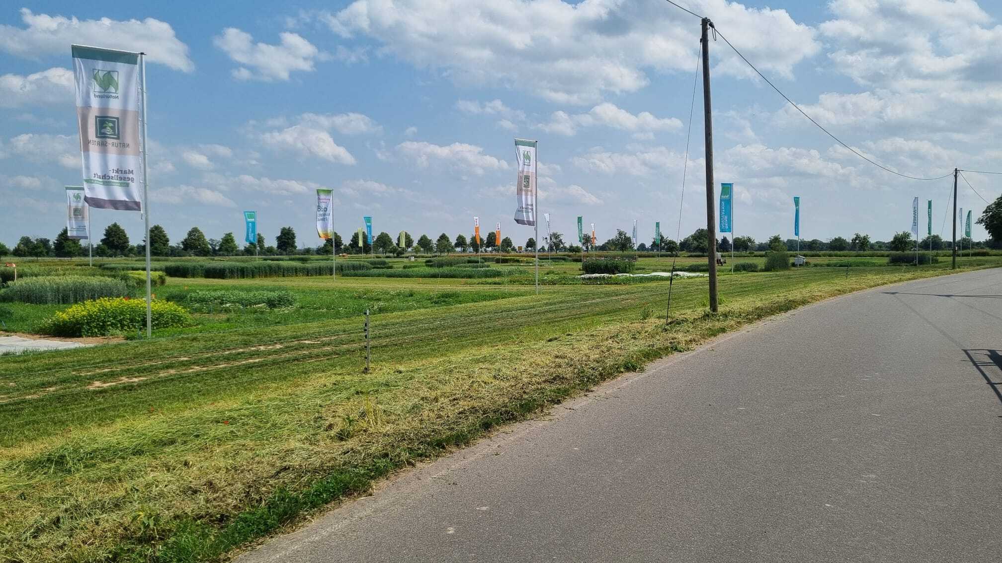 Fahnenmasten bei den Öko-Feldtage 2025 in Leipzig