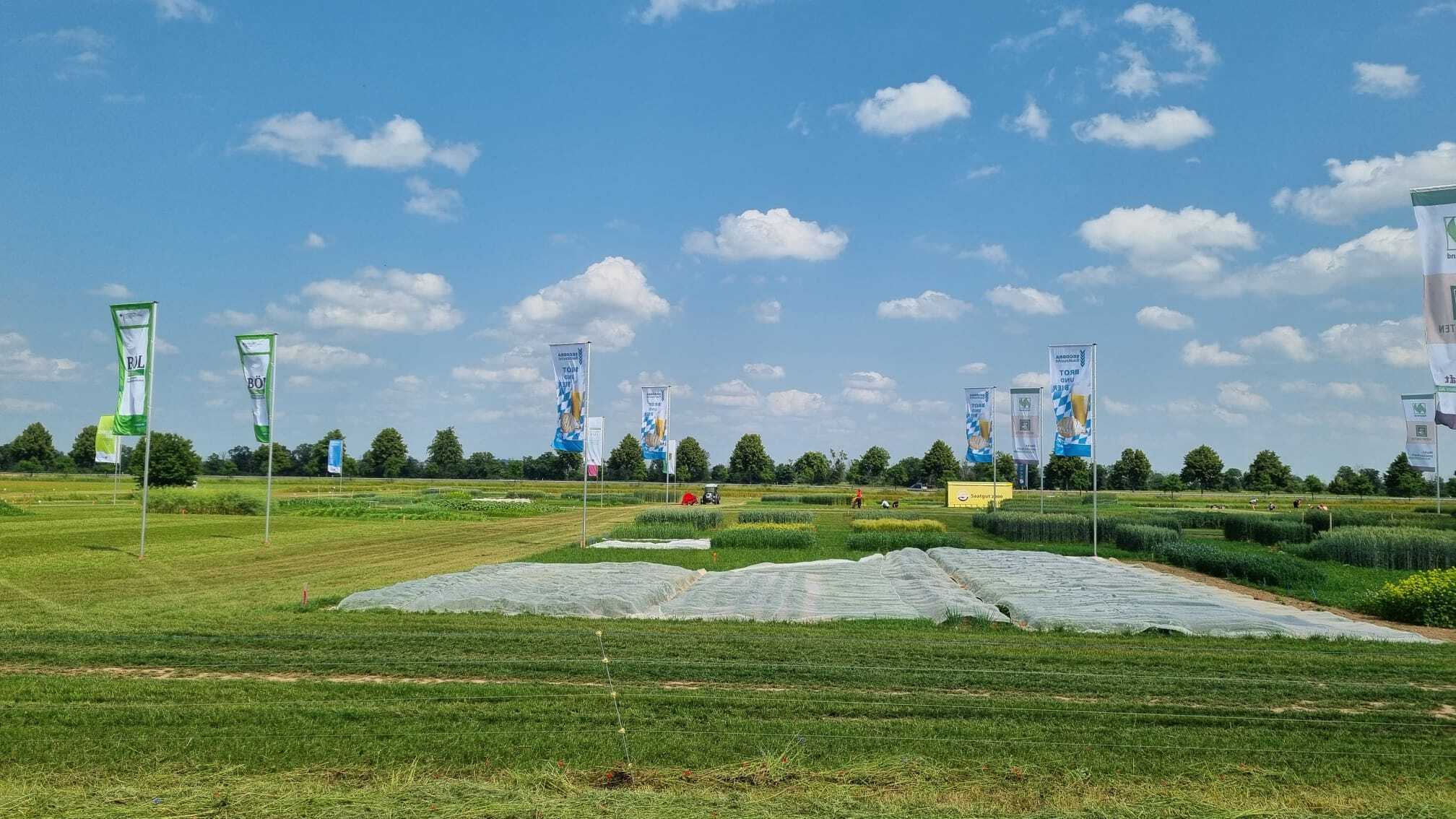 Fahnenmasten bei den Öko-Feldtage 2025 in Leipzig